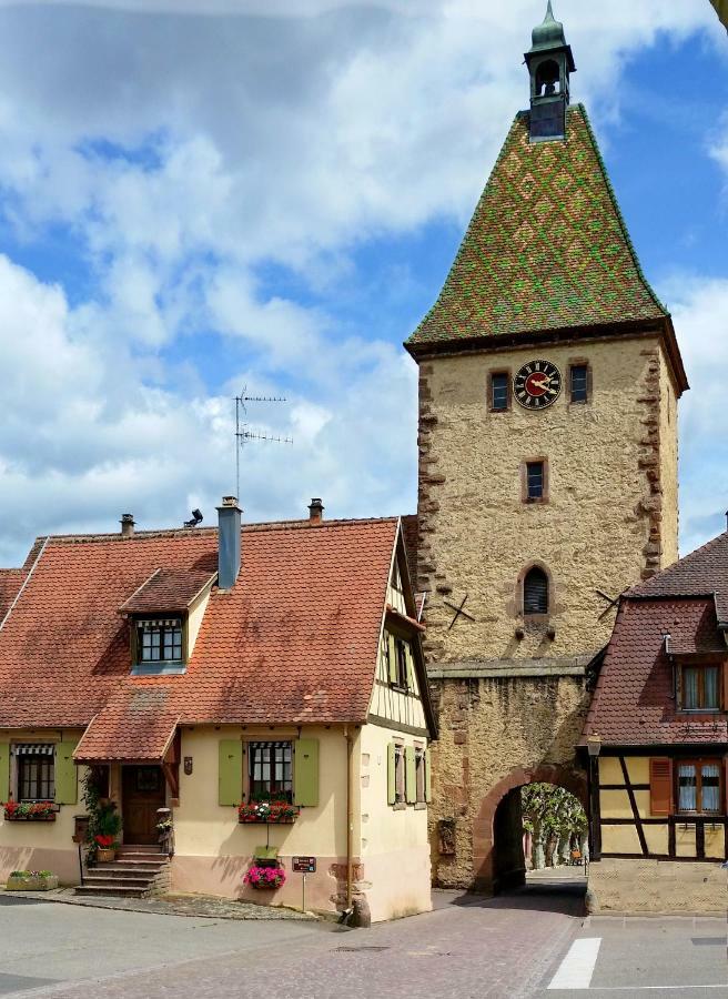 Gite La Maison Bleue Bergheim Exterior foto